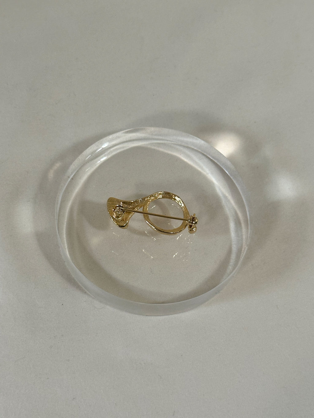 Coiled Horn Brooch