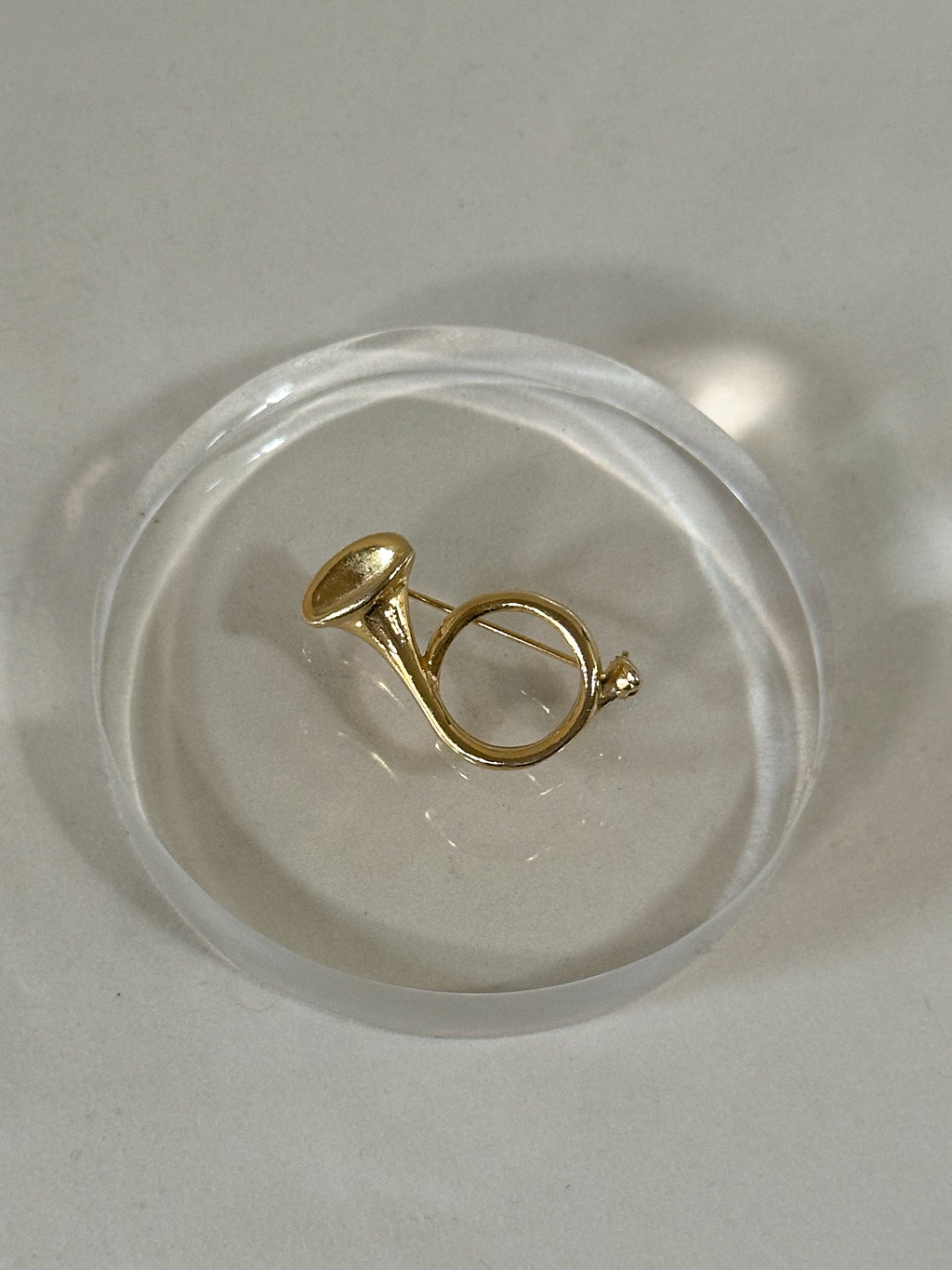 Coiled Horn Brooch